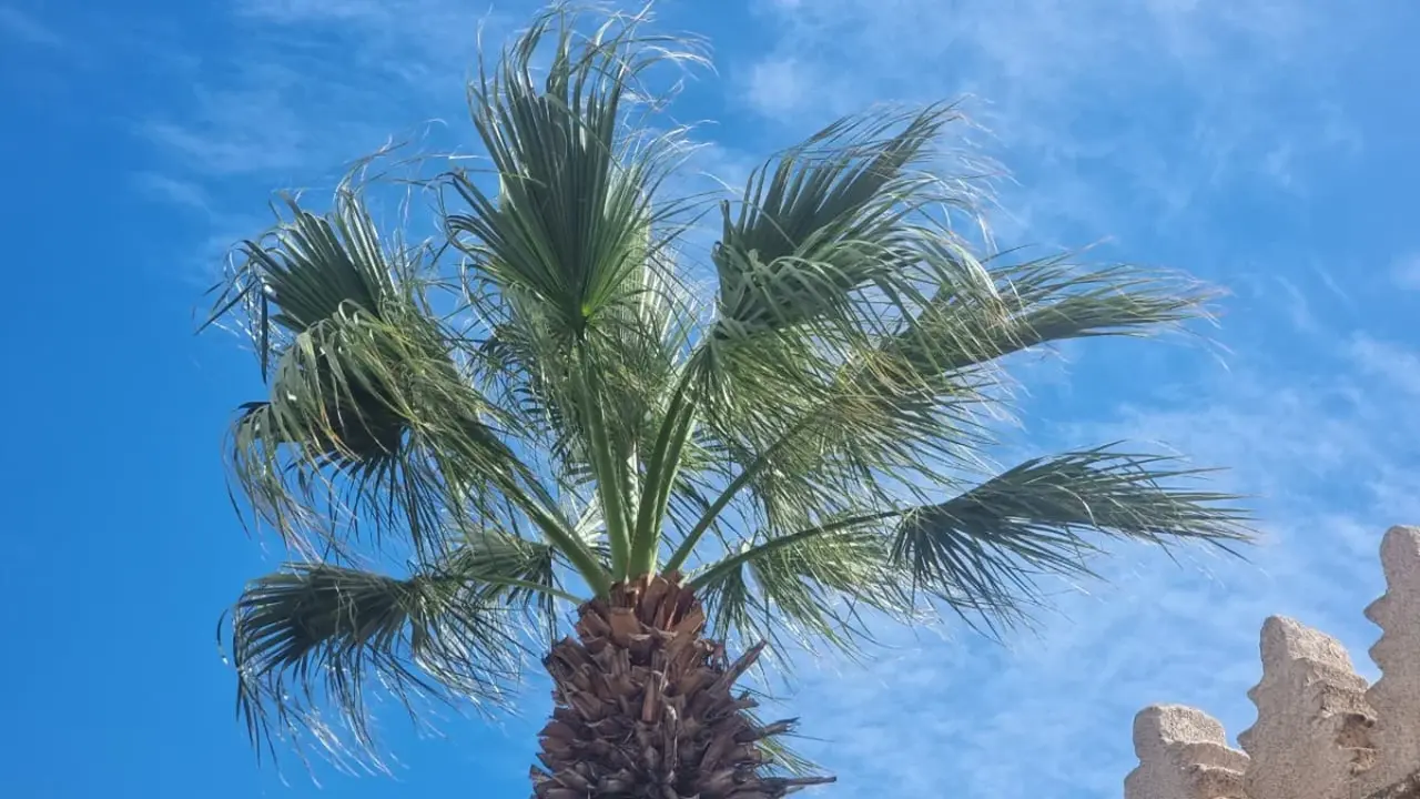 طقس المغرب الاثنين: ثلوج ورياح قوية وبرودة شديدة تسيطر على عدة مناطق